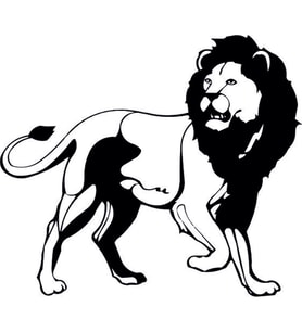 ASLAN LİON FOLYO STİCKER 40cm Uzunluk