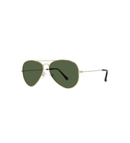 Polarize Pilot Güneş Gözlüğü Raptor 105 Medium Altın Gözlük Yeşil Cam
