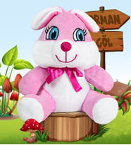 Pandamkee 20 - 25 cm Sevimli Tavşan (%100 Yerli )