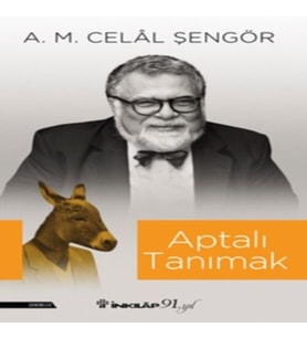 Aptalı Tanımak