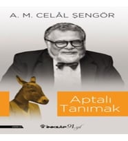 Aptalı Tanımak