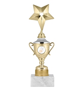 ODAK KUPA - Genel Kupalar - GG-004 B - 26 cm