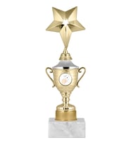 ODAK KUPA - Genel Kupalar - GG-004 B - 26 cm