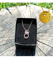 BAYKUŞ FİGÜRLÜ ZİRKON TAŞLI BRONZ RENKLİ KOLYE + KİŞİYE ÖZEL KOLYE HEDİYELİ