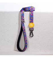Cream Leash Kedi Köpek Sevk & Gezdirme Kayışı Köpek Uzatma Tasması
