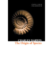 The Origin of Species (Collins C) (Gri-Kırmızı)