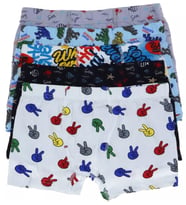 KOTA 1013 ERKEK ÇOCUK RENKLİ DESENLİ BOXER 6 ADET (Çok Renkli)