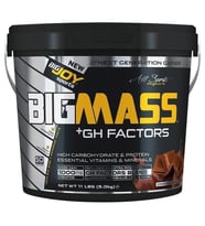 Big Joy Big Mass +GH Factors 5000 Gr
