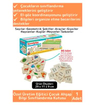 Premium Eğitici Zeka Koordinasyon Geliştirici Kişisel Gelişim Çocuk Ahşap Bilgi Sınıflandırma Kutusu