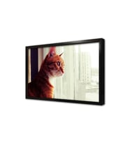 Sarı Kedi Çerçeveli Mdf Tablo