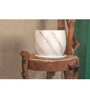 BİTKİ TASARIMI EV DEKORASYON  BEYAZ ÜZERİ GOLD TABAKLI TERRACOTA TOPRAK SAKSI SAKSILIK SALON ÇİÇEKLİK 19 CM