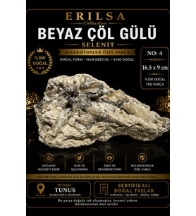 Sertifikalı Beyaz Çöl Gülü Selenit Taşı Kütle 16.5x9 cm Koleksiyonluk Doğal Tek Parça