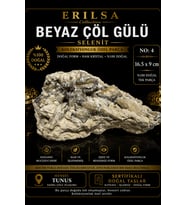 Sertifikalı Beyaz Çöl Gülü Selenit Taşı Kütle 16.5x9 cm Koleksiyonluk Doğal Tek Parça