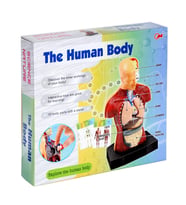 Human BODY - Vücut Maketli Eğitici Oyuncak Doktor SETİ