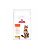Hills Adult Chicken Tavuklu Yetişkin Kuru Kedi Maması 15 Kg