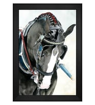 Hayvanlar Temalı Kanvas Tablo 50 x 70 cm Siyah Çerçeve