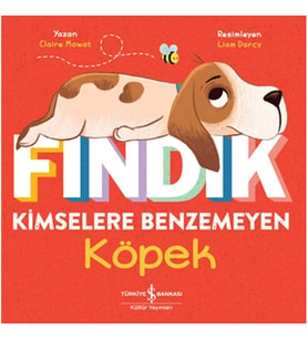 Fındık Kimselere Benzemeyen Köpek