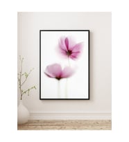 Tablo  Ahşap Çerçeveli Tablo  Çerçeveli Poster  Soyut,Minimal Mor Çiçek, Yüksek Çözünürlük (Karışık)