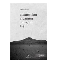 Duvarından Memnun Olmayan Taş