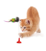 Vantuzlu Fare Kedi Oyuncağı Kedi Egzersiz Oyuncağı (Karışık)