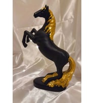Kaideli Şahlanan KırAt Gold Yeleli Siyah