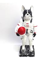 BY ARİ BULLDOG ASTRONOT BİBLO BB336-3