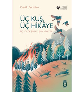 Üç Kuş, Üç Hikâye