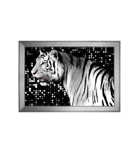 Hayvanlar Temalı Kanvas Tablo 50 x 70 cm Silver Çerçeve