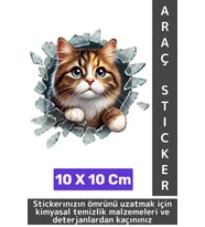 Özel Tasarım Araç Dış Modifiye Eğlenceli Yaratıcı Şık 3D Evcil Hayvan Kedi Köpek Sticker 10 X 10 Cm
