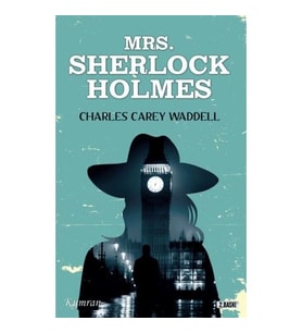 Mrs. Sherlock Holmes - Charles Carey Waddell