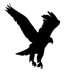 Folyo Sticker Kartal ADKPQUY621 30cm Uzunluk