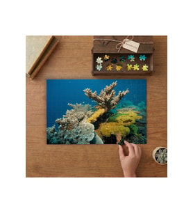 Okyanus - Sualtı Canlıları Tasarımı 240 parça Ahşap Puzzle Ahşap Kutuda MP02436