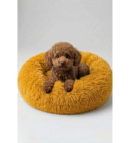 Turuncu Uzun Kürklü Kedi ve Köpek Yatağı 45 cm