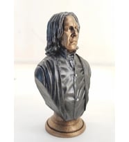 Polyester Snape Büst Küçük 243