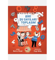 Biri Şu Sayıları Toplasın