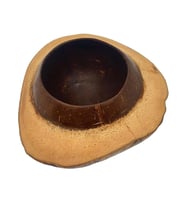 Coconut Hindistan Cevizi Kase Kabuklu Coconat Kase (Karışık)