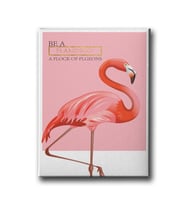 Flamingo Canvas Tablo MİND621