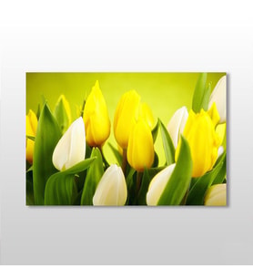 Zambak Kanvas Tablo 45x30cm (Karışık)