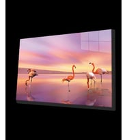  Flamingo Hayvan Cam Tablo 4mm Dayanıklı Temperli Cam