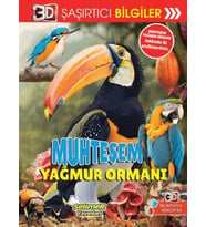 3D Şaşırtıcı Biiler - Muhteşem Yağmur Ormanı