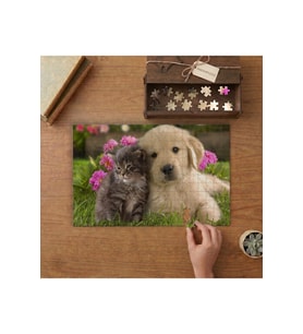 Yavru Kedi ve Köpek Tasarımı 240 parça Ahşap Puzzle Ahşap Kutuda MP03044