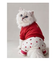 Tatlı Çilek Duo – Çilekli Kedi Tulum & Sweat Kombini