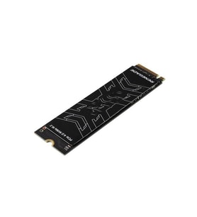 KINGSTON 2TB RENEGADE SRNGD/2000G 7300-7000MB/s M2 NVME GEN4 DİSK