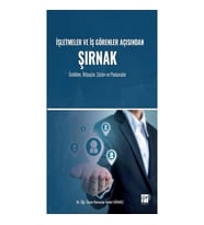 İşletmeler ve İş Görenler Açısından ŞIRNAK