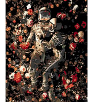 Garden Delights II Astronot Sayılarla Boyama Seti 50X65 cm (Tuvale Gerili)