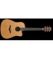 IBANEZ AW3050CE-LG