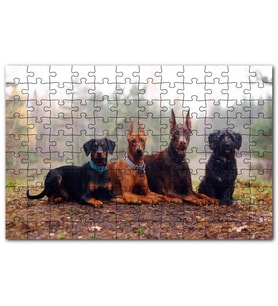 Cakapuzzle Sonbahar Yaprakları Üzerindeki 4 Köpek Puzzle Yapboz MDF (Ahşap) (120 Parça)