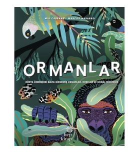 Ormanlar - Dünya Üzerindeki Balta Girmemiş Ormanlar, Korular ve Doğal Rezervler