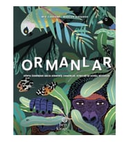 Ormanlar - Dünya Üzerindeki Balta Girmemiş Ormanlar, Korular ve Doğal Rezervler