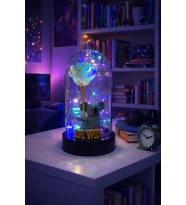 Fanus İçinde Koala “İyi ki Varsın” Yazılı Peri Led Yıl Dönümü, Doğum Günü Hediyesi (Yeşil)